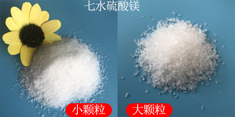 1723186959188007.jpg 未标题-1.jpg