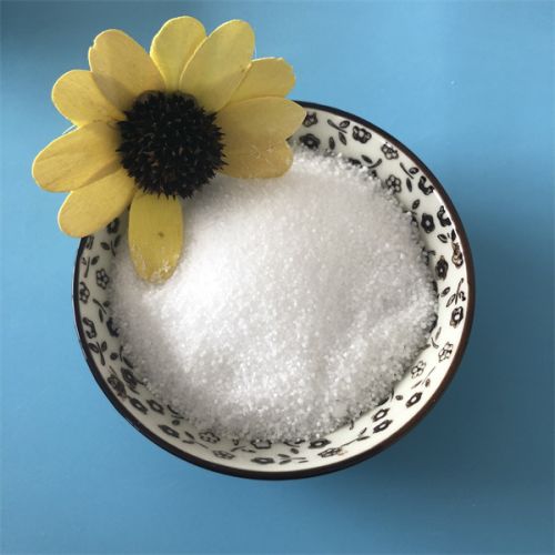 干贝素